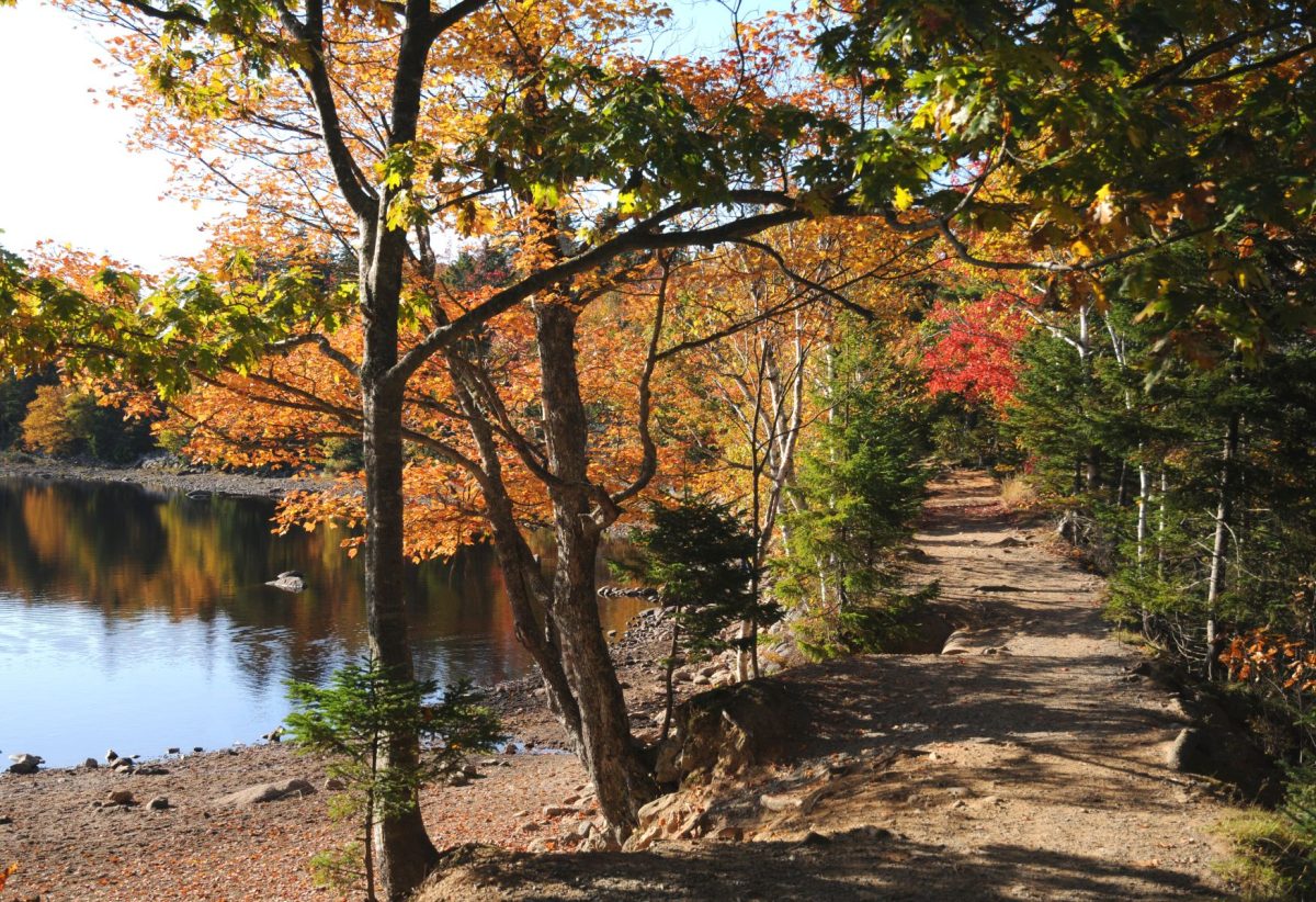 fall colors trail